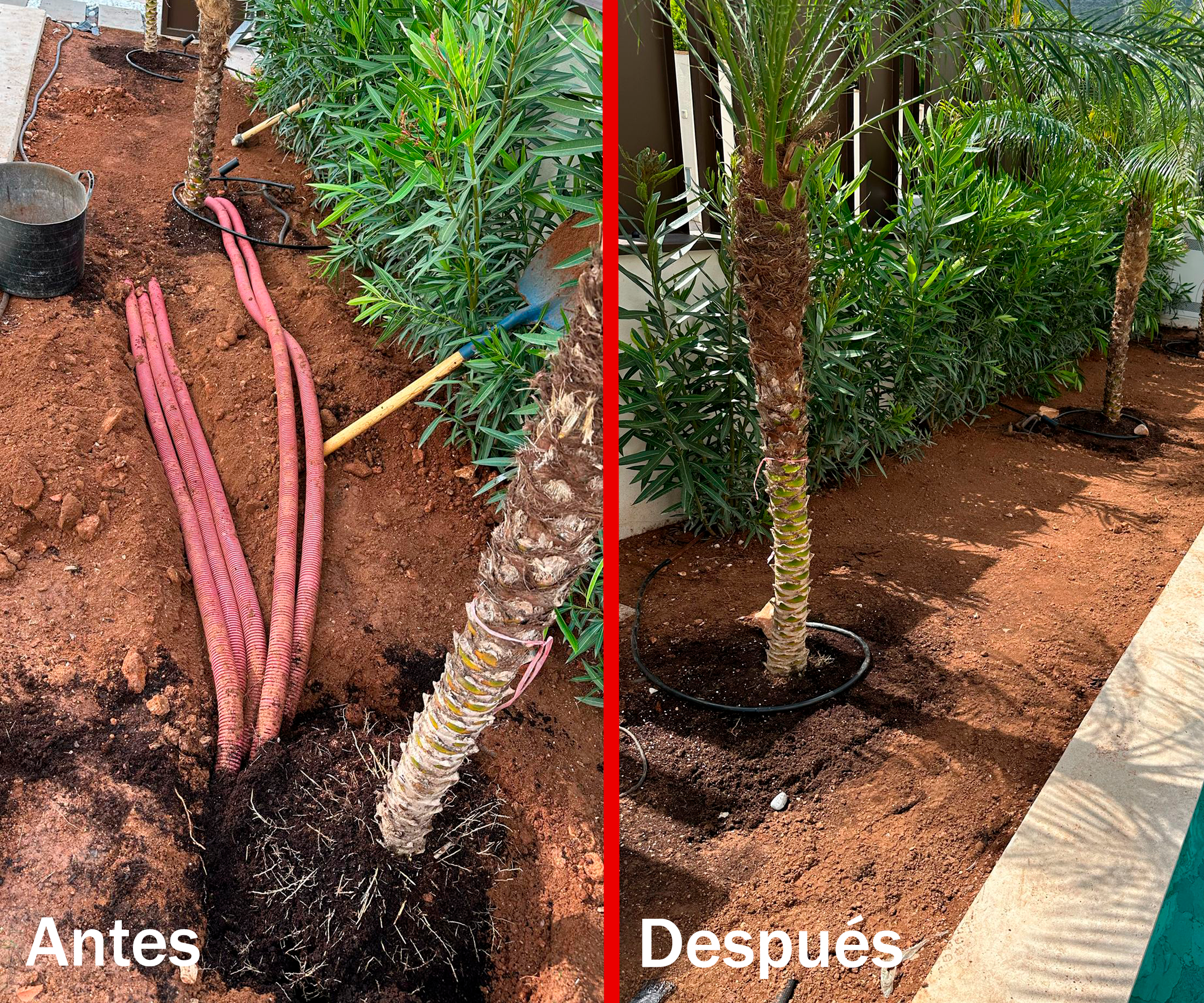 reformas jardin