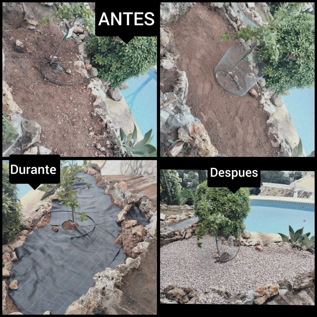 reformas jardin