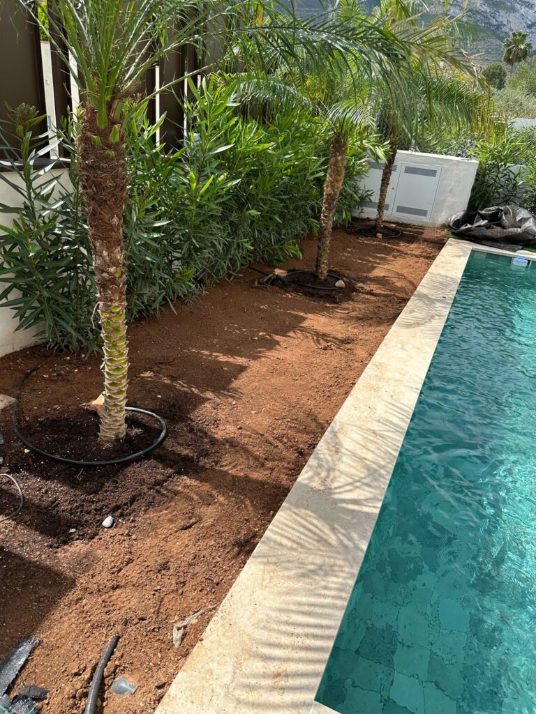 Reformas jardin